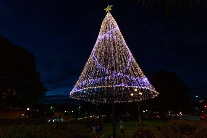 Con árboles “sustentables”, una feria y luces en las calles, la Ciudad comenzó la decoración para la Navidad