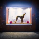 El Taller y Tienda Kōan abre su showroom frente al Parque Saavedra para exhibir cerámicas, dibujos y obras de arte