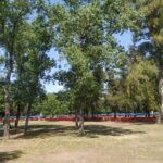 Los vecinos pudieron disfrutar de parques limpios tras los festejos de navidad