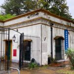 Invitan al abrazo simbólico de un árbol que sería afectado si avanza la concesión de la Biblioteca del Museo Saavedra