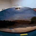 Muestra “Museo Bernasconi en foco”