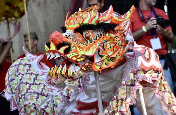 Hoy comienza el año 4720 chino con festejos en Belgrano