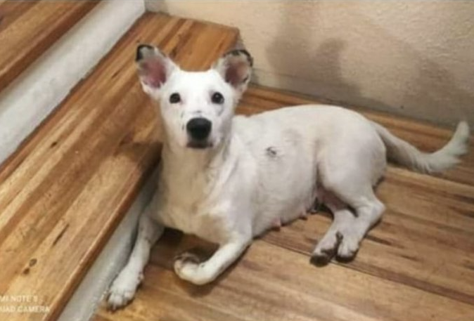 Final feliz para la controversia entre vecinas que indignó a Saavedra