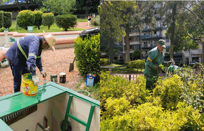 Acciones y recomendaciones de la Comuna 7