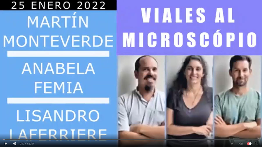 Científicos denuncian grafeno en las vacunas