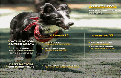 Fin semana de castraciones gratuitas y vacunación antirrábica