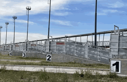 El 1 de abril comienza a funcionar el MAG en Cañuelas