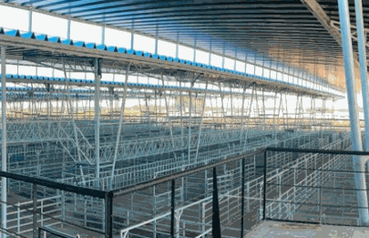 Ahora aseguran que el nuevo mercado de hacienda funcionará desde marzo