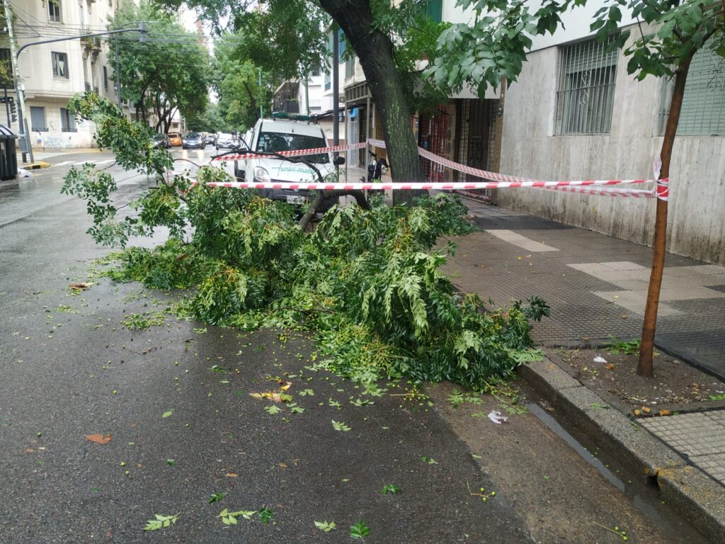 Por las fuertes lluvias se cayeron varias ramas en la vía pública de Almagro