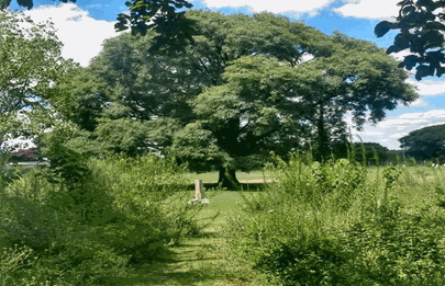 Ceremonia “Anata Uru” en Parque Avellaneda