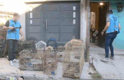 Un hombre que tenía 25 aves en cautiverio en Soldati