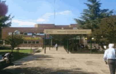 Autorizan por tres meses a manejar a quienes gestionaron la reimpresión de licencia