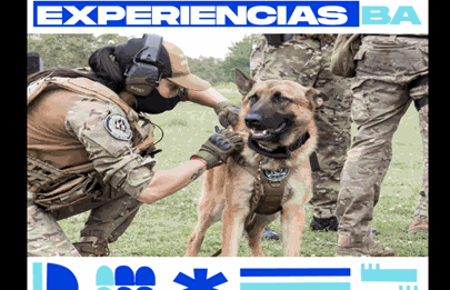 Experiencias BA: Entrenamiento abierto de canes policiales