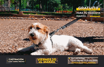Agenda de turnos online para solicitar turno para castraciones de mascotas