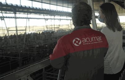 Mudanza del Mercado de Hacienda: ACUMAR participó de evaluación del MAG de Cañuelas