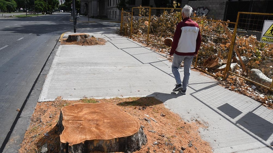 Vecinos volvieron a protestar contra la tala de árboles en Paseo Colón para construir el Metrobus del Bajo