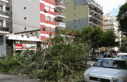 El temporal destrozó tres autos en Nueva Pompeya
