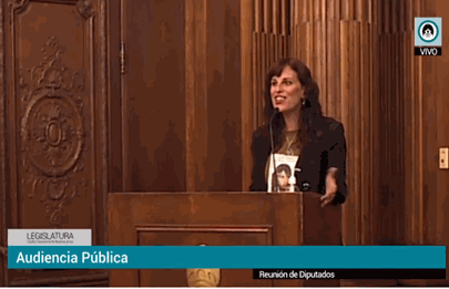 Audiencia Pública por la Plazoleta Camila Arjona