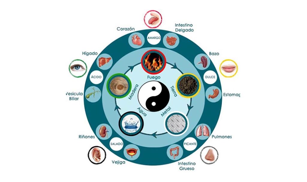 Horarios biológicos según la medicina china