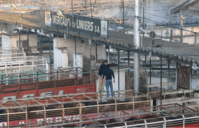 Nueva postergación para el traslado del Mercado de Hacienda