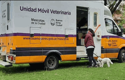Inscriben para vacunación y castración en la Comuna 8