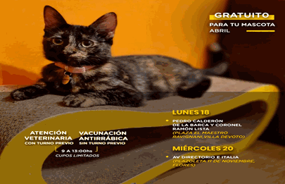 Atención veterinaria y vacunación antirrábica gratuita en Flores