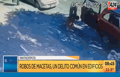 Roban macetas en pleno centro comercial de la avenida Alberdi