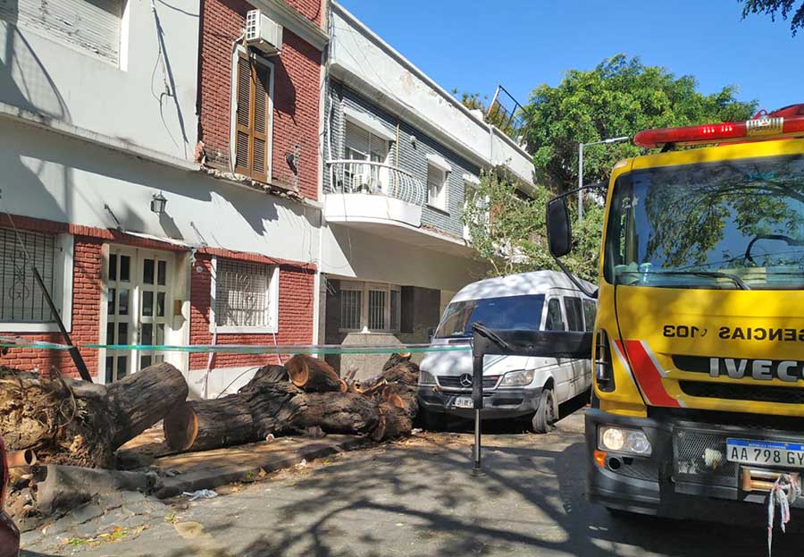 El temporal de anoche hizo destrozos