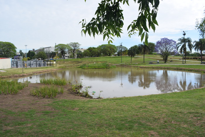 Mataderos: expresan preocupación por el humedal del Parque Alberdi