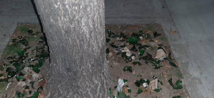 Indignación vecinal por la colocación de vidrios cortados en el cantero de un árbol de Superí y Larralde