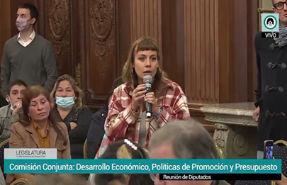 El proyecto de ley de ¿”integración”? productiva en barrios populares
