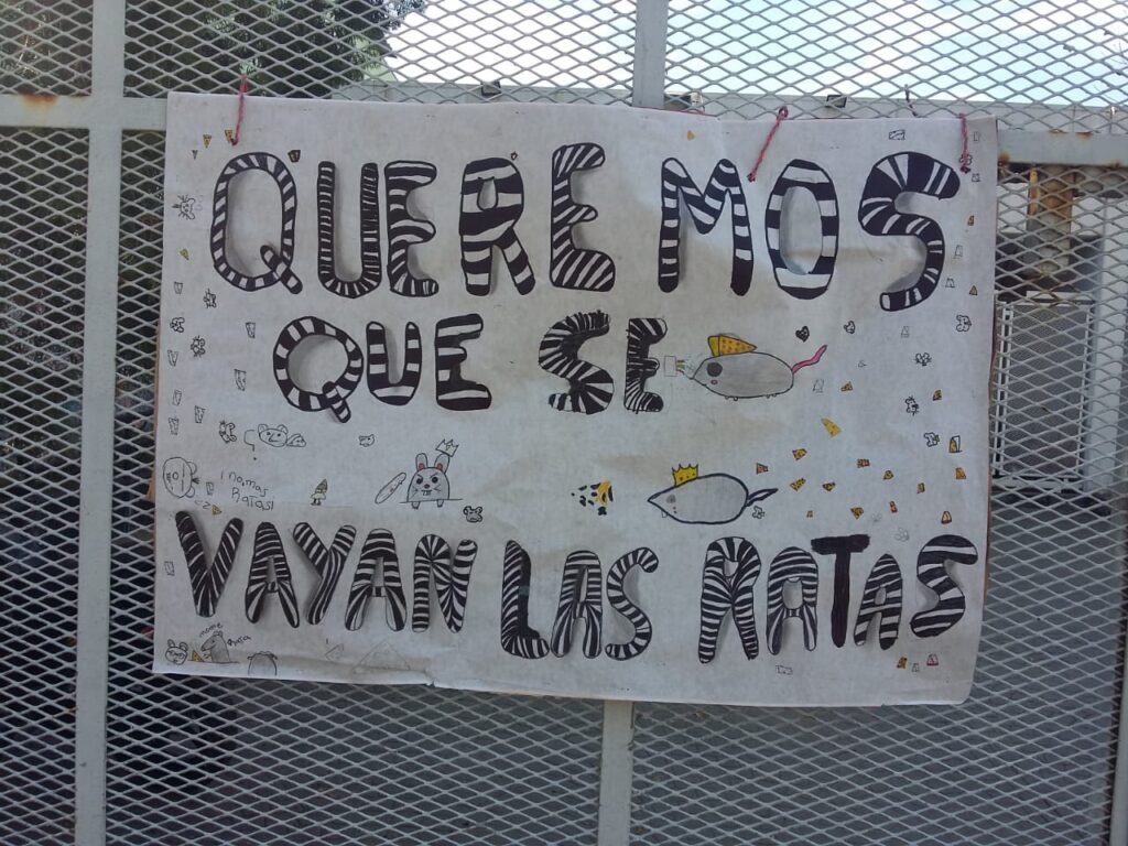 “Que se vayan las ratas”: la comunidad de una escuela primaria de Villa Lugano exige mejoras edilicias