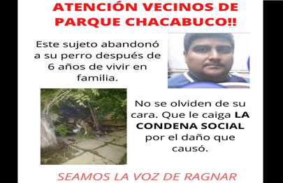 Vecinos indignados movilizados por maltrato a perro en Parque Chacabuco