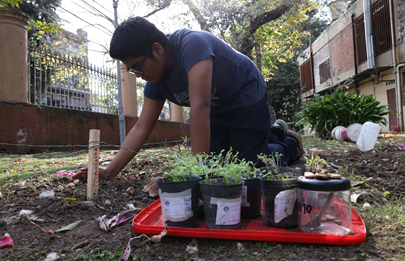 Siembran verduras en las escuelas porteñas