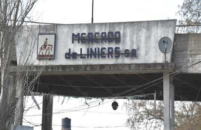 A 40 días del cierre del mercado de hacienda no hay noticias sobre el futuro del predio
