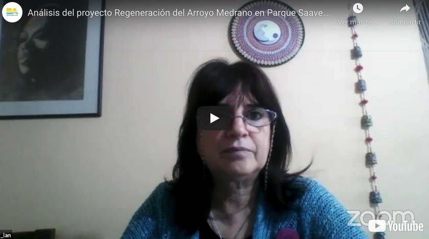 En directo: segunda jornada de la Audiencia Pública sobre el proyecto Reservorio Parque Saavedra
