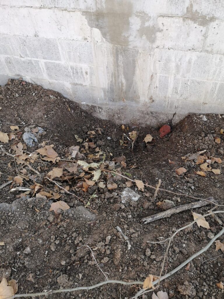 Pese al pedido vecinal, la Comuna 5 removió varios árboles para la construcción de una plaza en Boedo