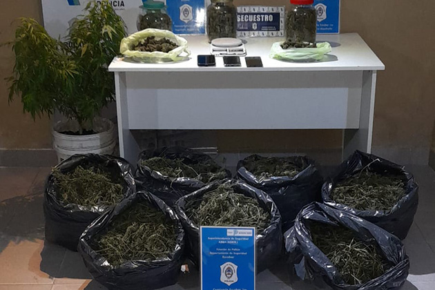 Un hombre llamó al 911 por un robo y terminó preso porque vendía marihuana