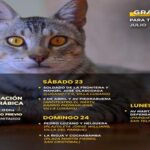 Vacunación antirrábica gratuita en la Comuna 8