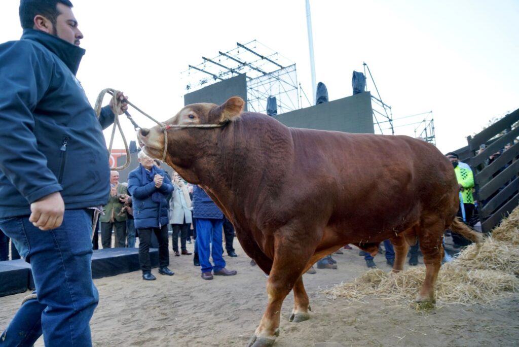 Inició la Exposición Rural 2022 en Palermo con charlas, exhibiciones y rondas de negocios