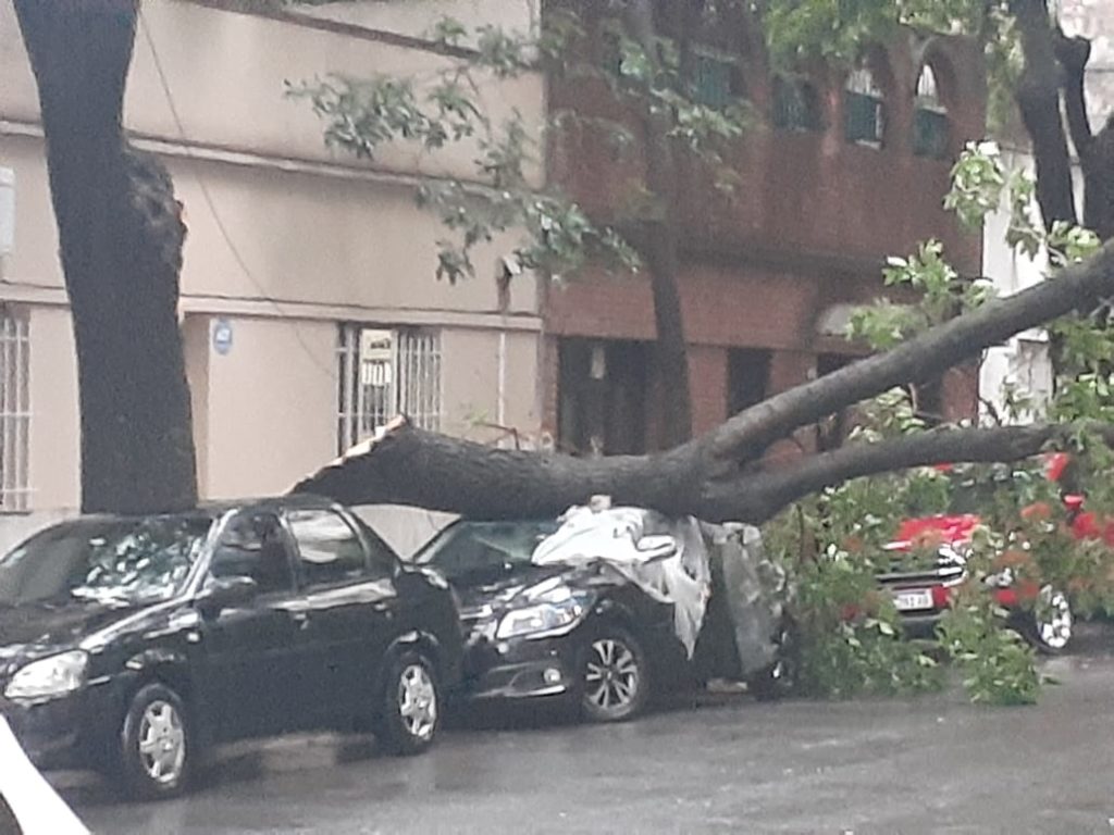 La Comuna 12 indemniza a una vecina por los daños provocados por una rama caída sobre su auto