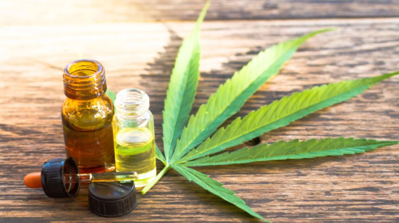 CannaBA: piden una sociedad estatal del GCBA para desarrollar la planta de cannabis con fines científicos y medicinales