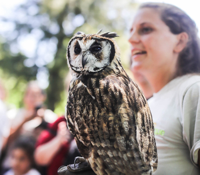 Palermo: el Ecoparque inauguró su Centro Histórico