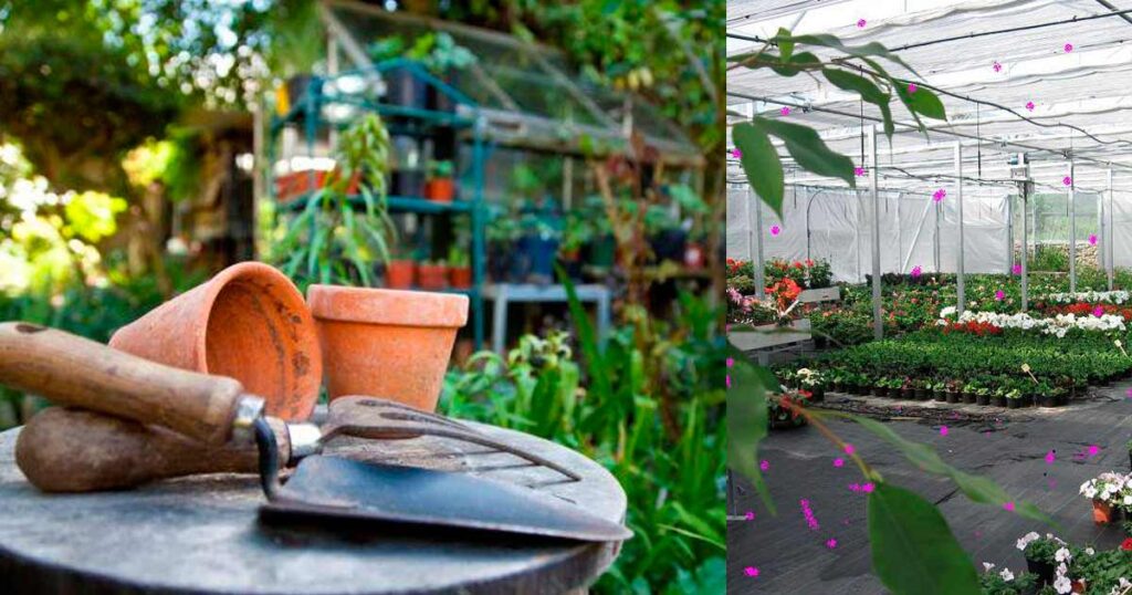 Cursos para todo público en la Escuela de Floricultura y Jardinería “Juan O. Hall”