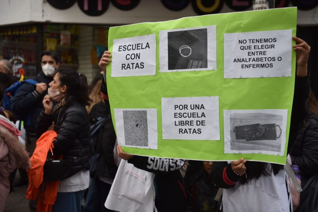 Piden informes por la presencia de ratas en escuelas de Almagro y Saavedra