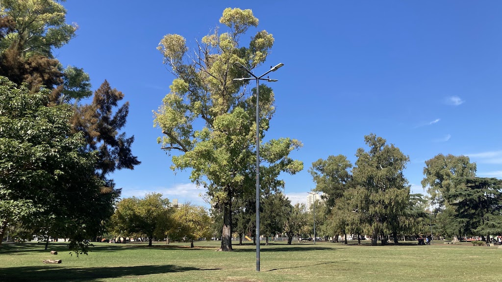 Con mayoría de voces en contra, culminó la Audiencia sobre la creación de un reservorio en Parque Saavedra