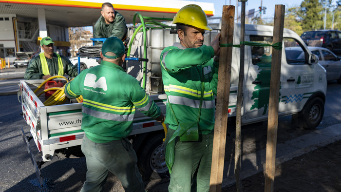 El GCBA proyecta plantar unos 15.000 árboles nuevos en veredas y plazas