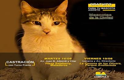 Atención veterinaria y castraciones gratuitas en la comuna 9