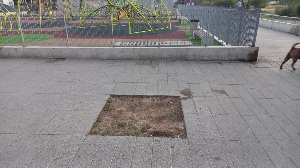 Vecinos alertan por problemas en el mantenimiento de la Plaza Manzana 66