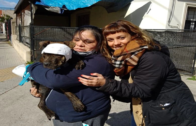 Historia de amor por los perros en la Comuna 8